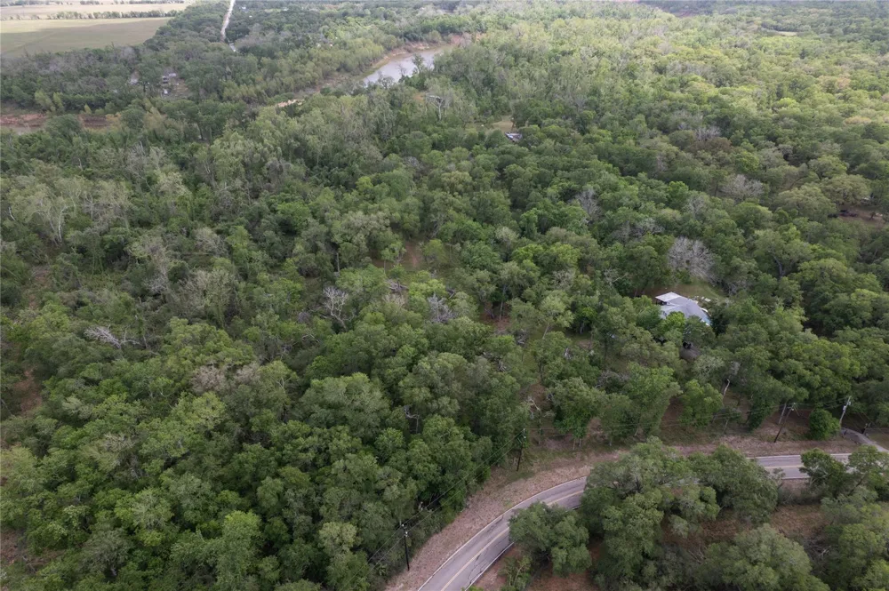 Kings Oak Drive Damon, TX 77430