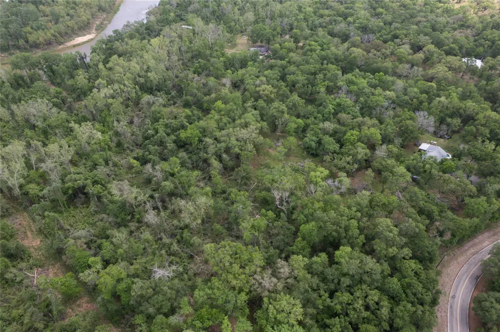 Kings Oak Drive Damon, TX 77430