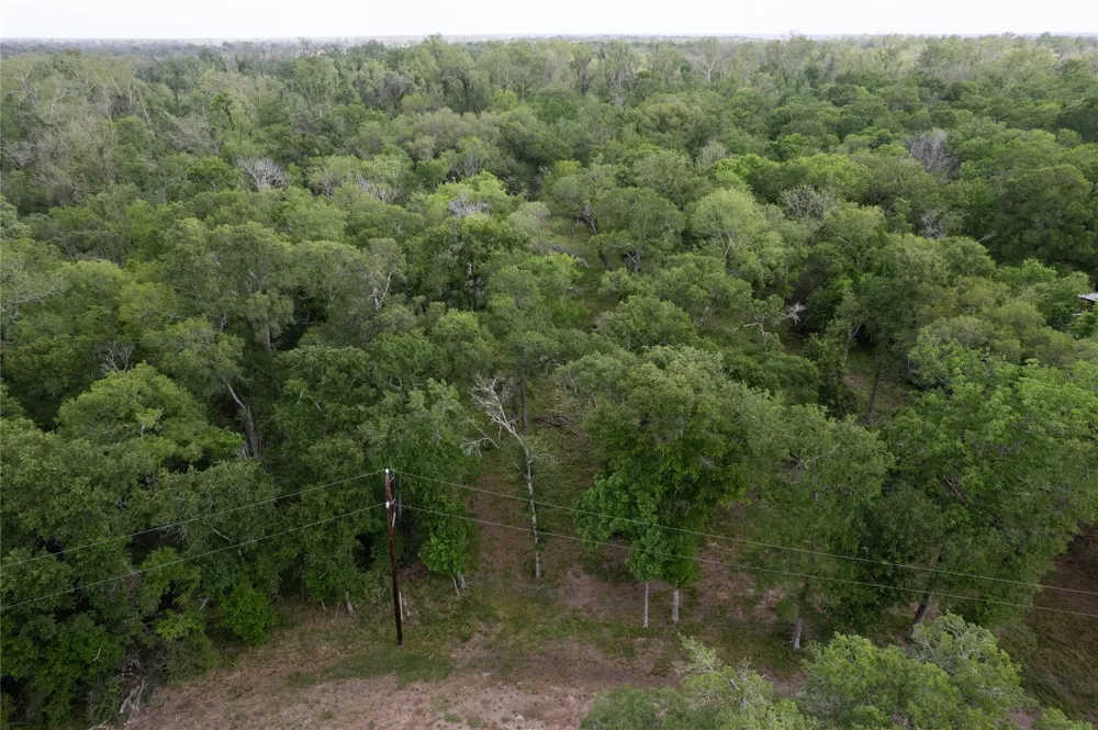 Kings Oak Drive Damon, TX 77430