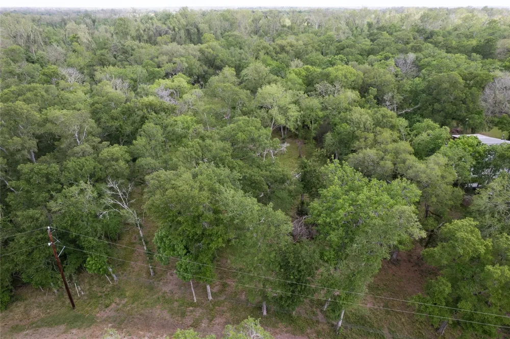 Kings Oak Drive Damon, TX 77430