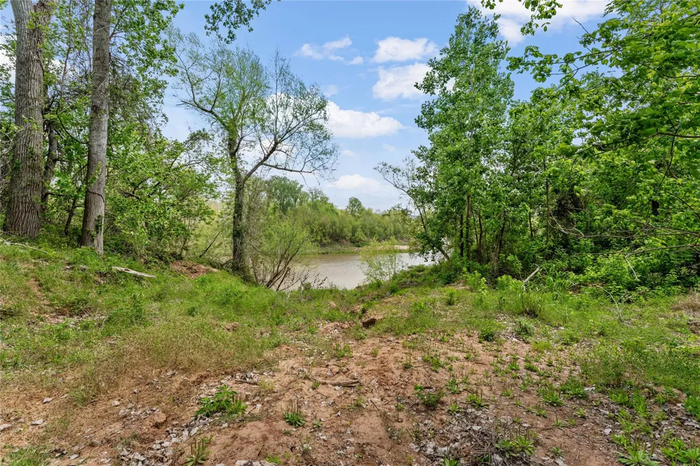 Kings Oak Drive Damon, TX 77430