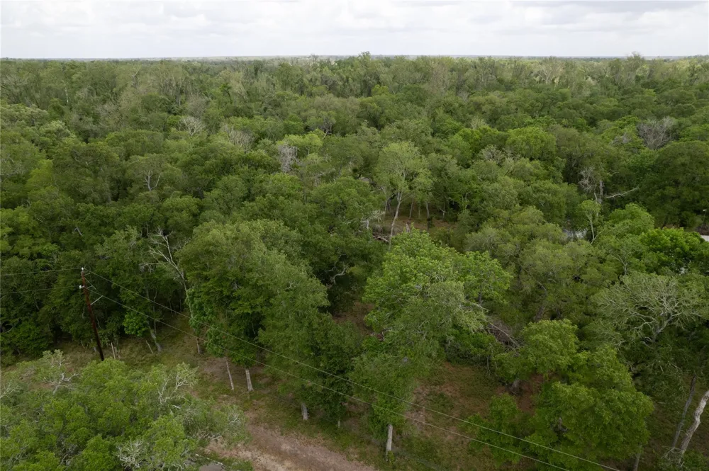 Kings Oak Drive Damon, TX 77430