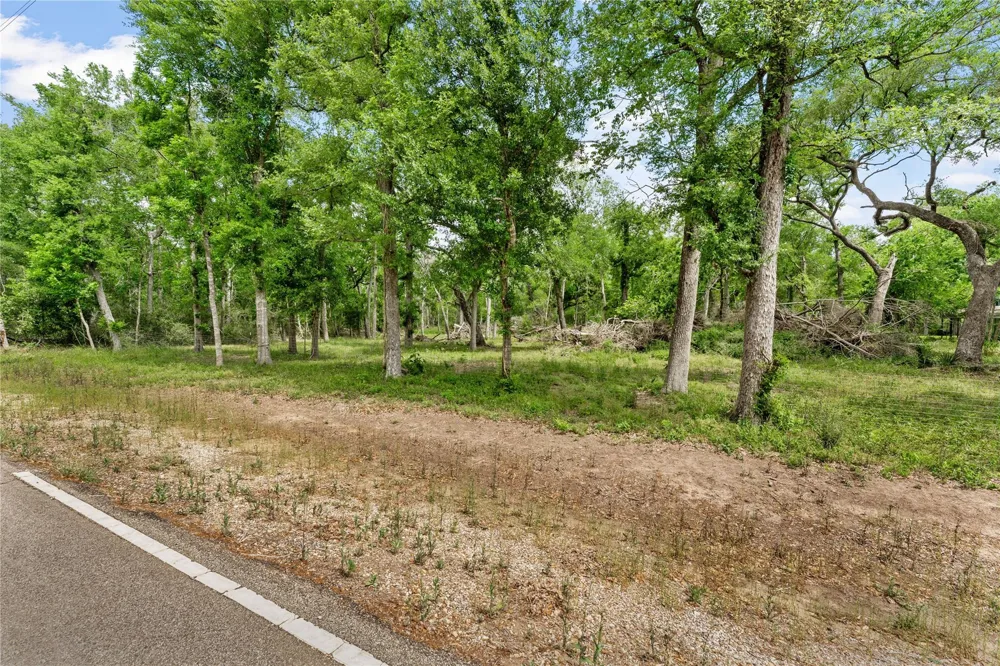 Kings Oak Drive Damon, TX 77430