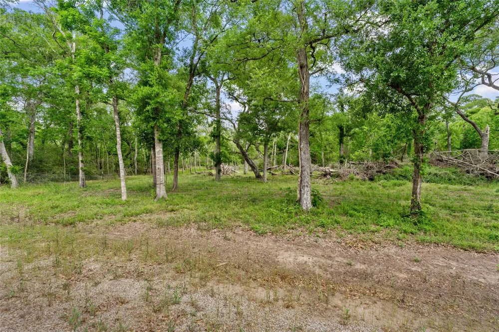 Kings Oak Drive Damon, TX 77430