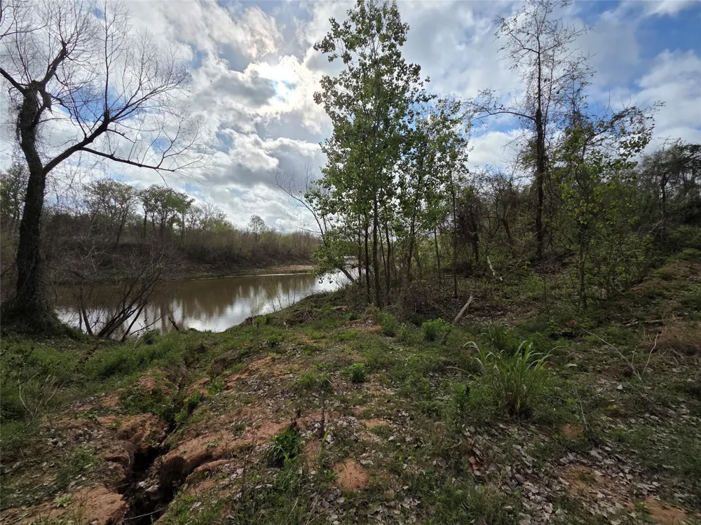 Kings Oak Drive Damon, TX 77430