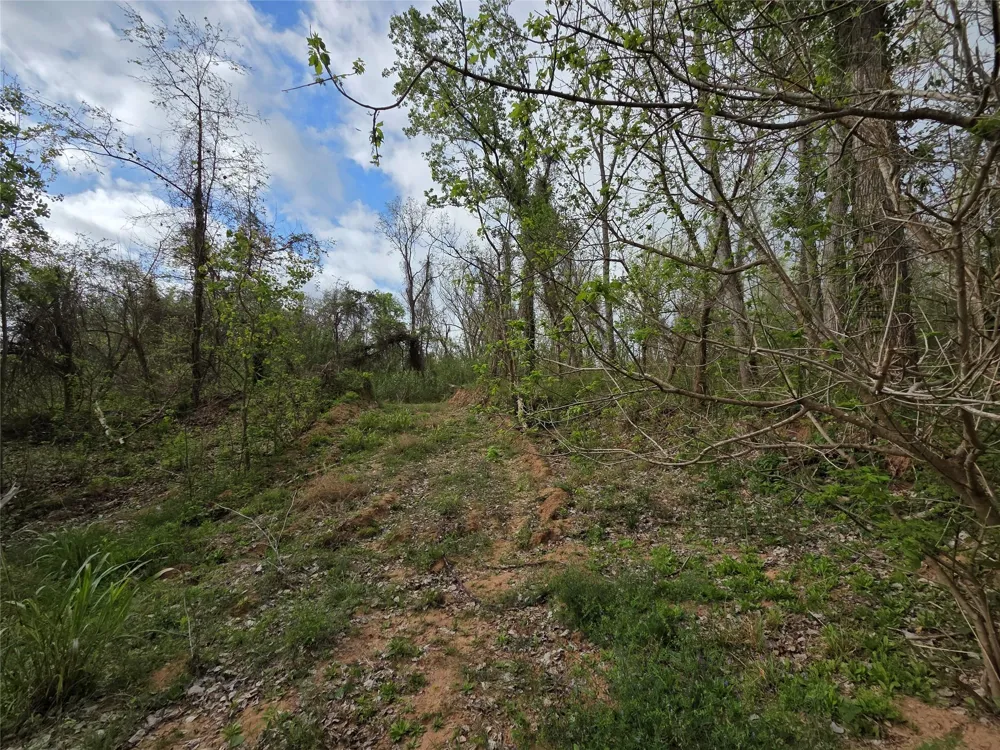 Kings Oak Drive Damon, TX 77430