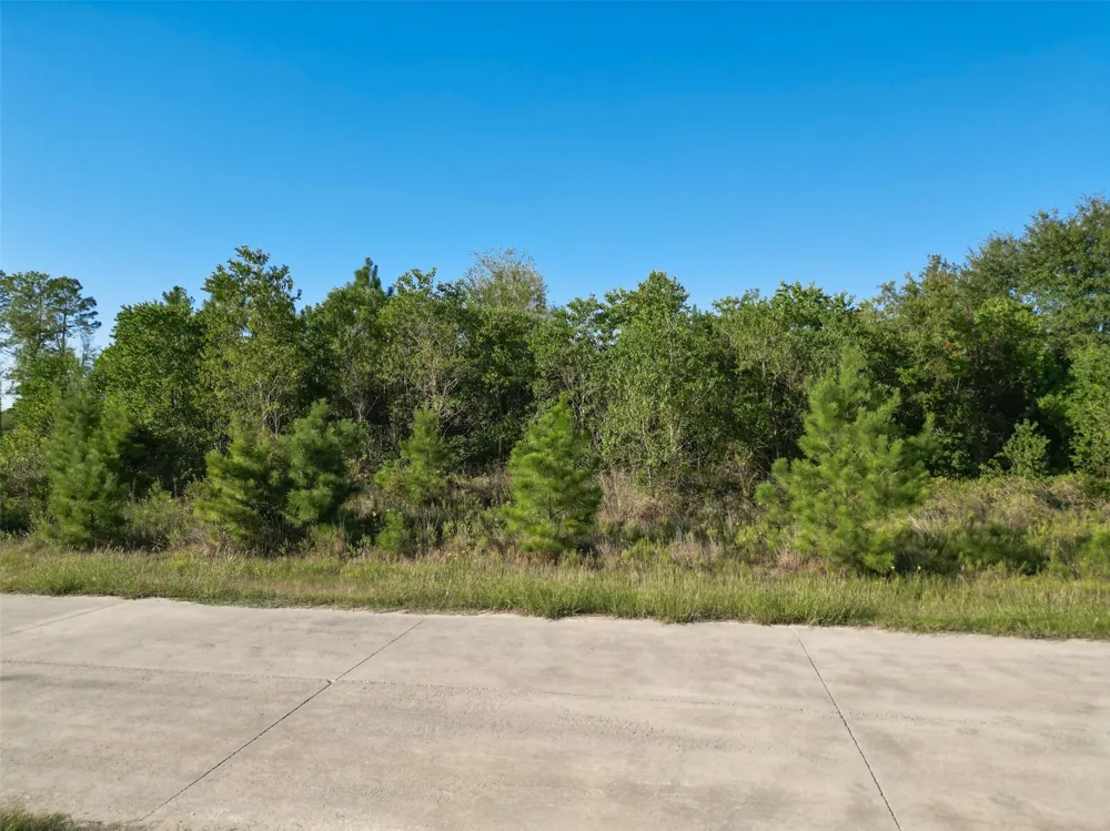 1180 County Road 5023 Cleveland, TX 77327