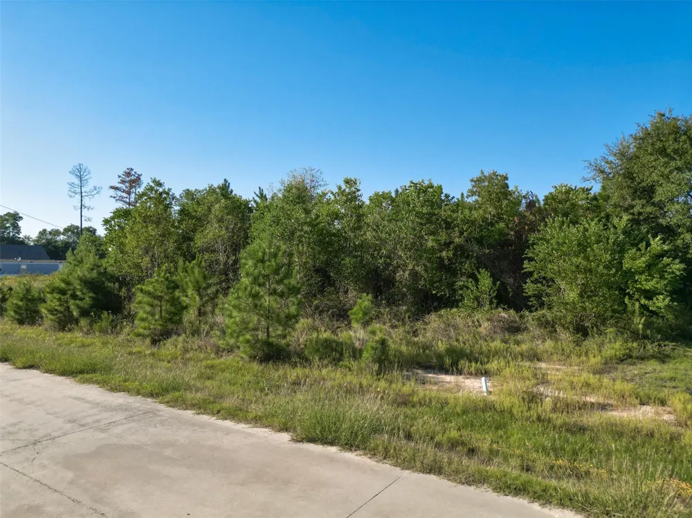 1180 County Road 5023 Cleveland, TX 77327