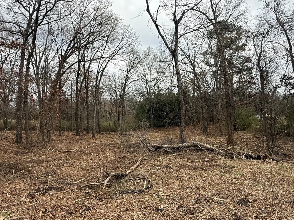 Florence Street Grand Saline, TX 75140