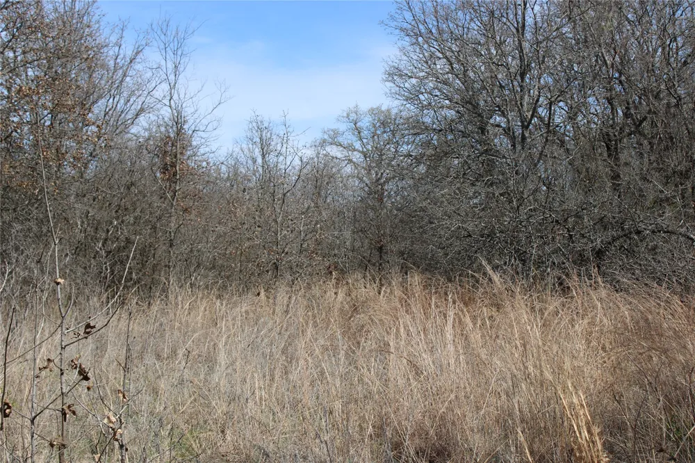 13 Mason Perrin, TX 78486