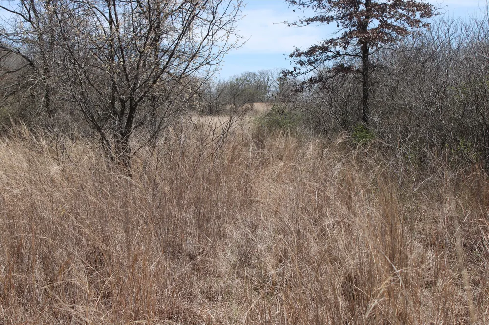 13 Mason Perrin, TX 78486