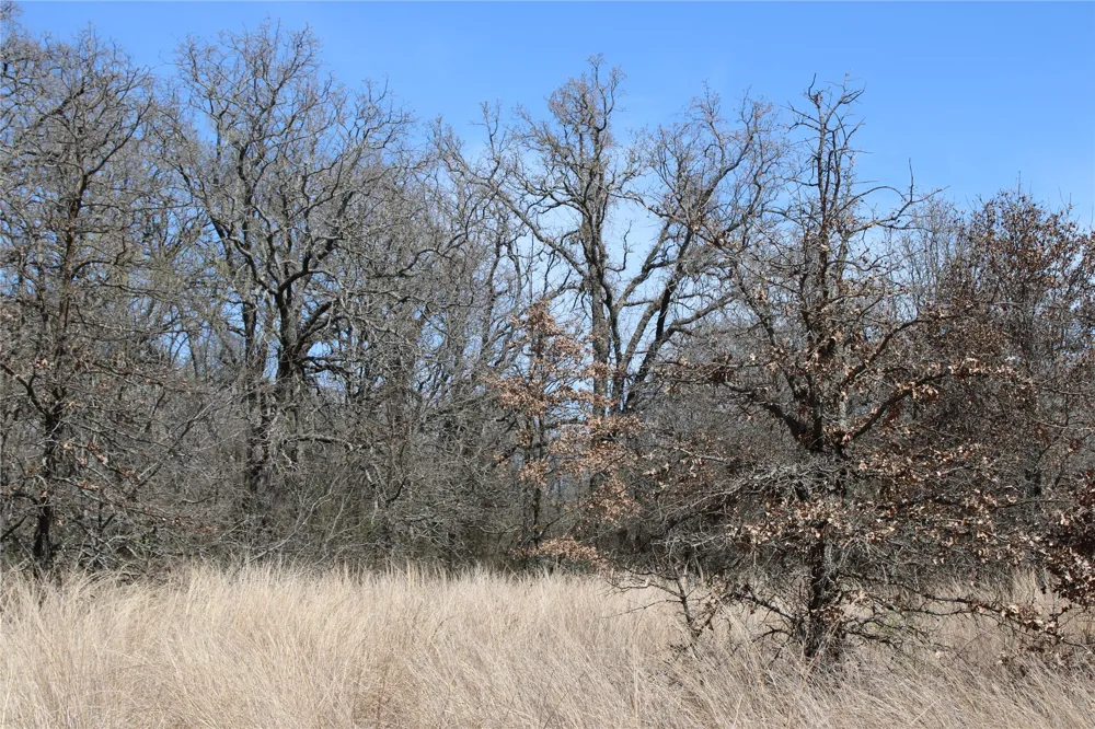 13 Mason Perrin, TX 78486