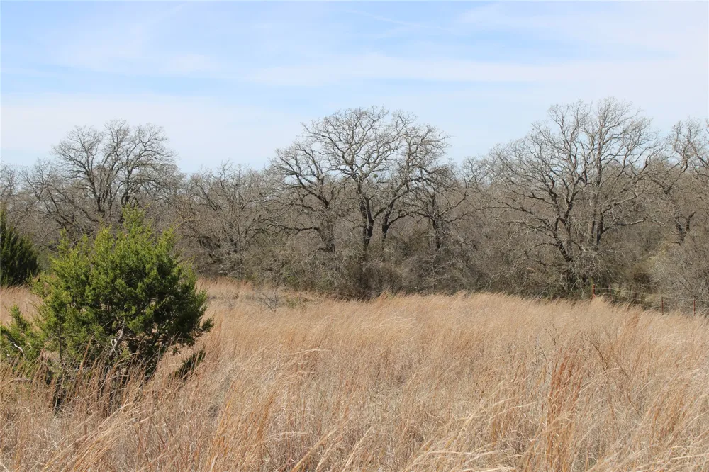 13 Mason Perrin, TX 78486