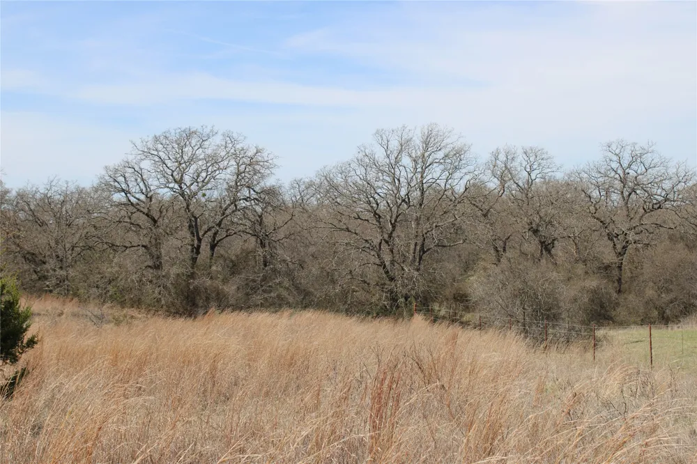 13 Mason Perrin, TX 78486
