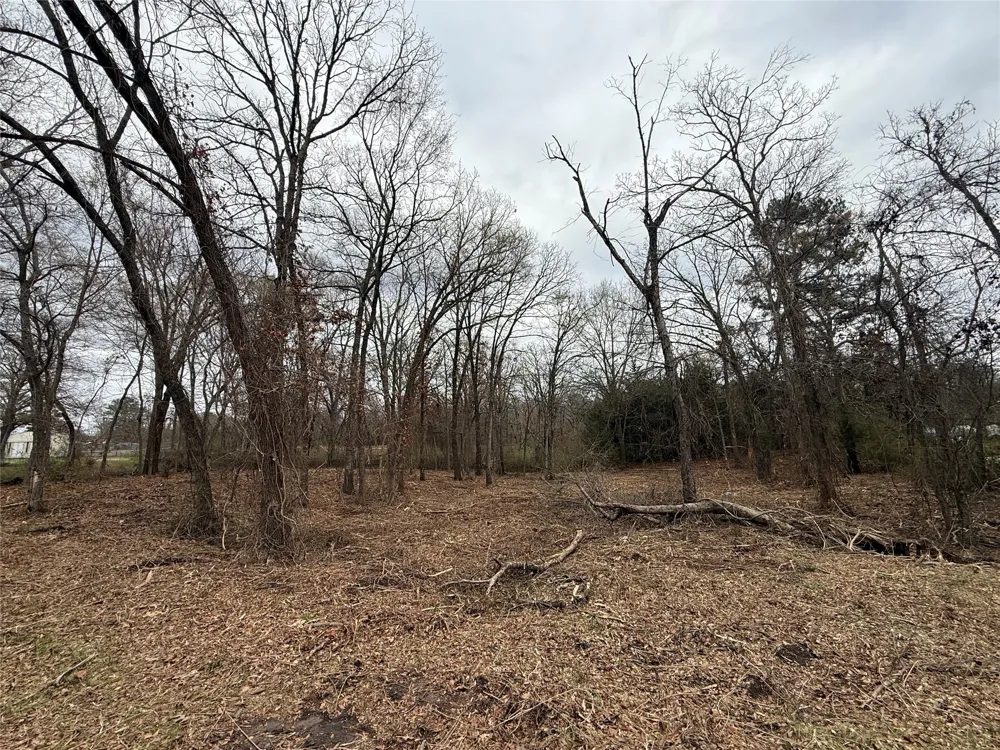 FLorence Street Grand Saline, TX 75140