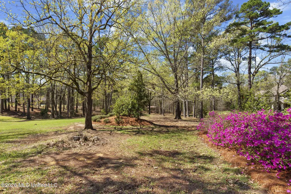 6145 Wirtz Road Flowood, MS 39232