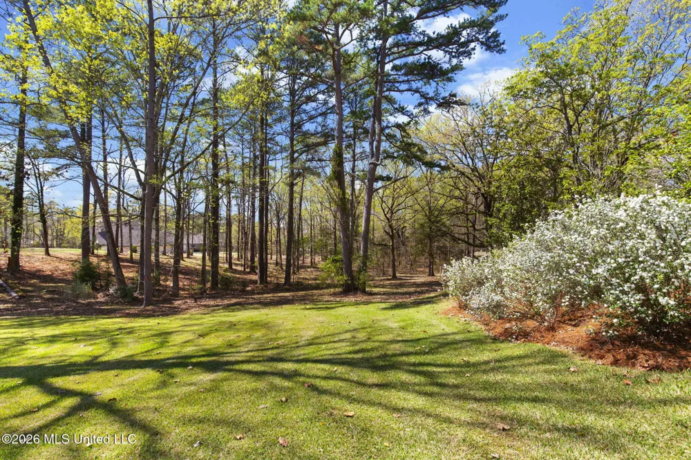 6145 Wirtz Road Flowood, MS 39232