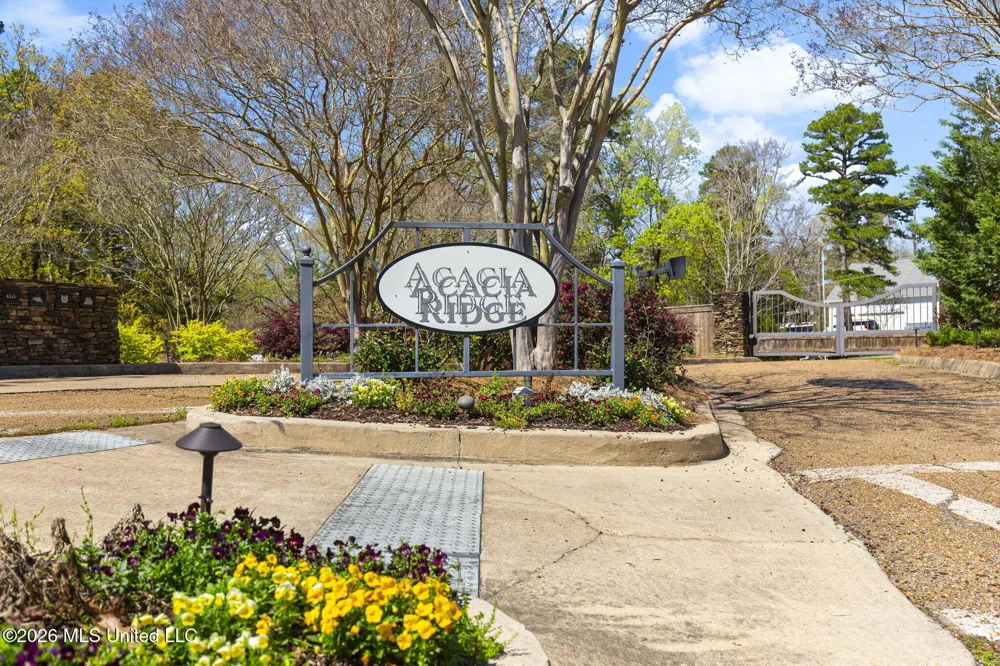 6145 Wirtz Road Flowood, MS 39232