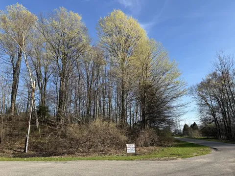 W Snead Drive