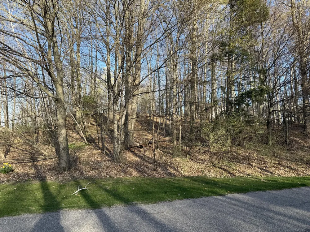 W Snead Drive Ludington, MI 49431