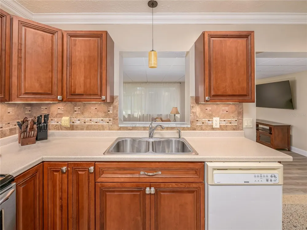 907 HILLSIDE TERRACE Brandon, FL 33511
