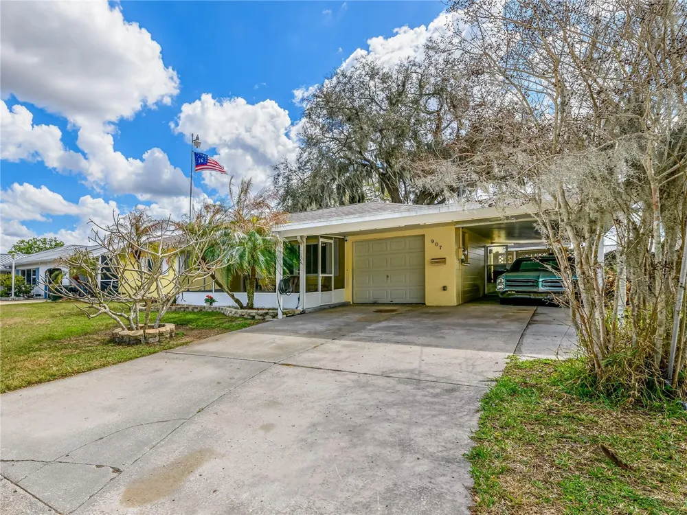 907 HILLSIDE TERRACE Brandon, FL 33511