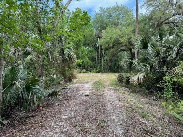 1747 TURTLE HILL ROAD Deltona, FL 32725