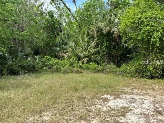 1747 TURTLE HILL ROAD Deltona, FL 32725