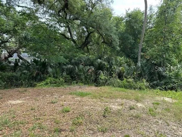 1747 TURTLE HILL ROAD Deltona, FL 32725