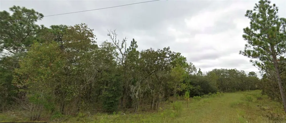 NE 151 TERRACE Williston, FL 32696