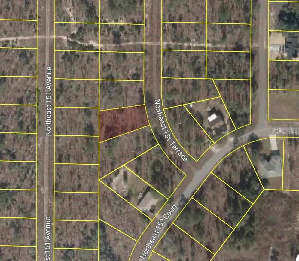 NE 151 TERRACE Williston, FL 32696