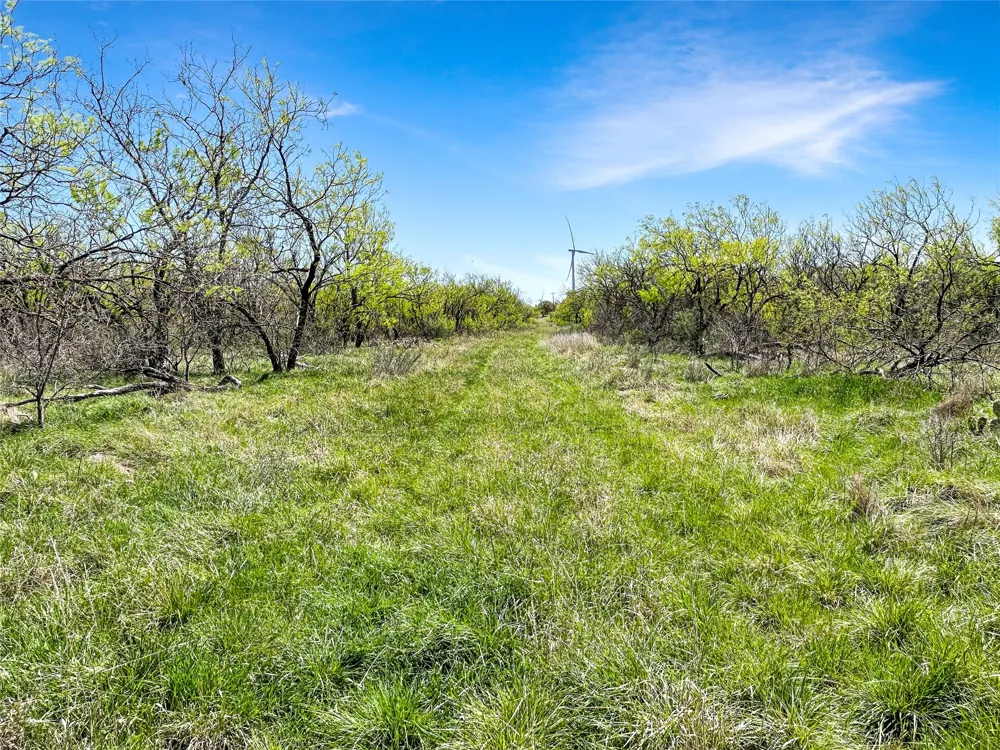 1116 County Road 107 Cisco, TX 76437