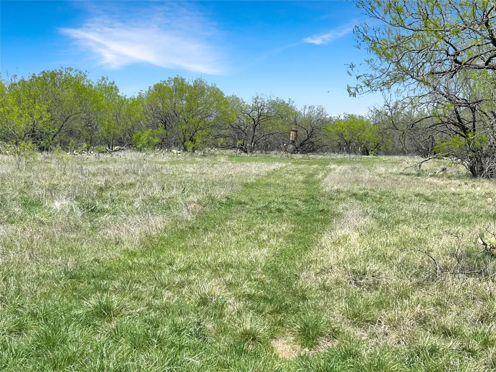 1116 County Road 107 Cisco, TX 76437