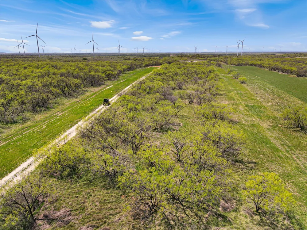 1116 County Road 107 Cisco, TX 76437