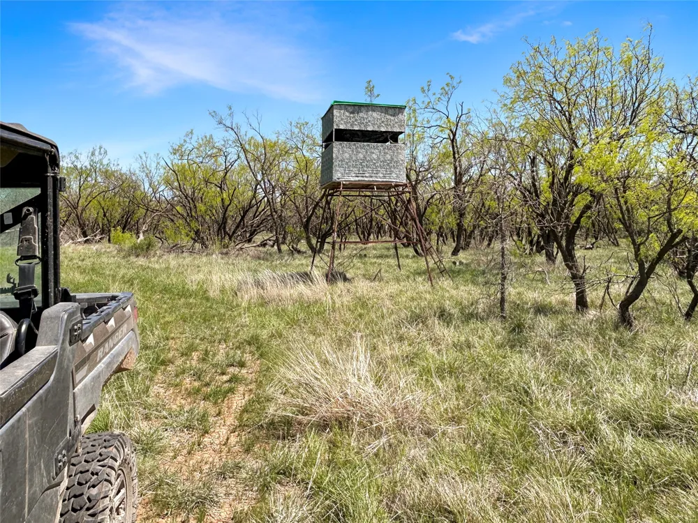 1116 County Road 107 Cisco, TX 76437