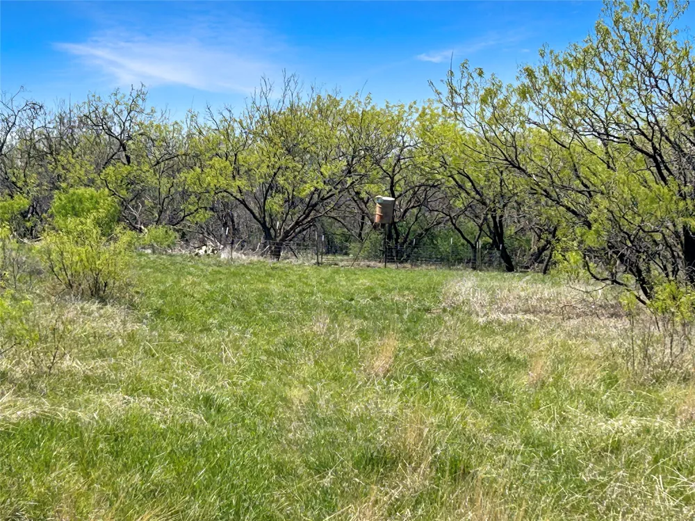 1116 County Road 107 Cisco, TX 76437