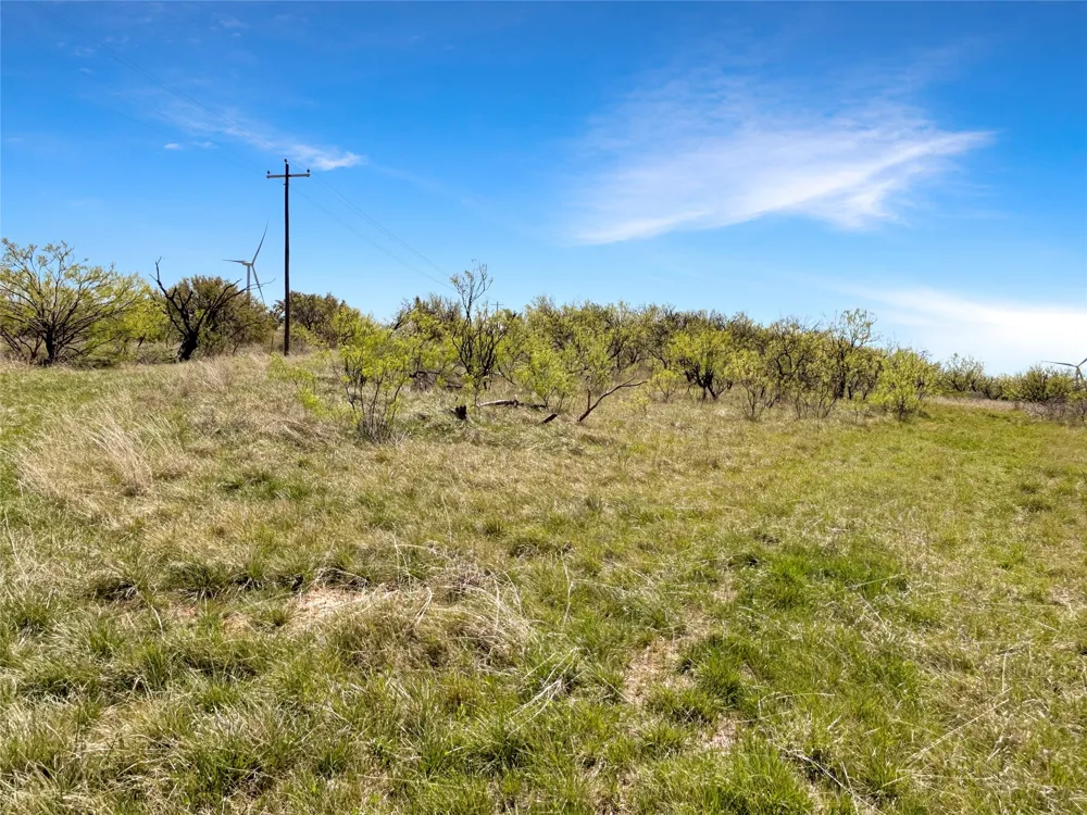 1116 County Road 107 Cisco, TX 76437