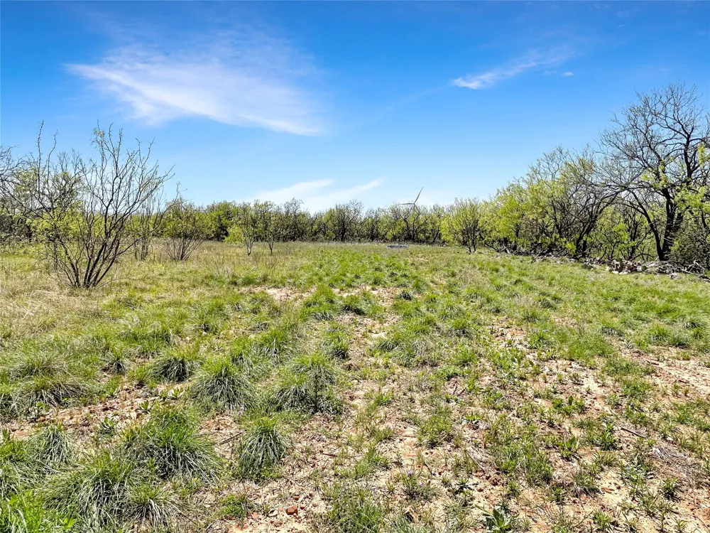 1116 County Road 107 Cisco, TX 76437