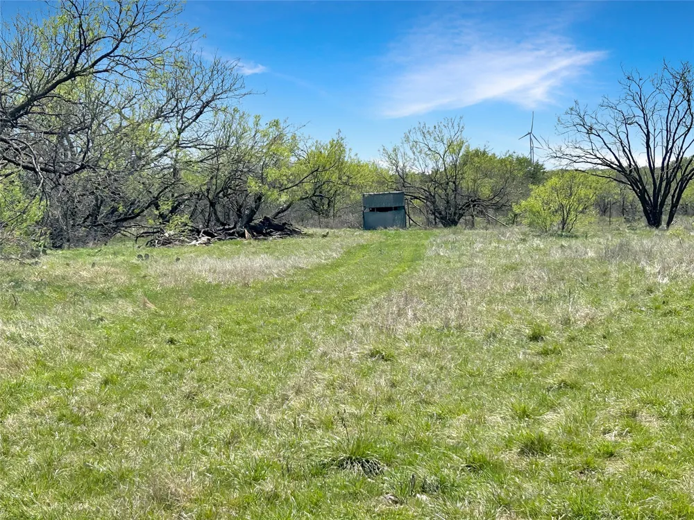 1116 County Road 107 Cisco, TX 76437