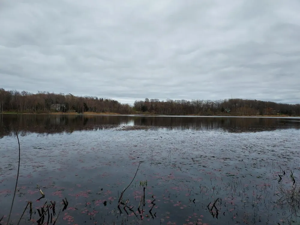 5424 W Oak Point Road Ludington, MI 49431