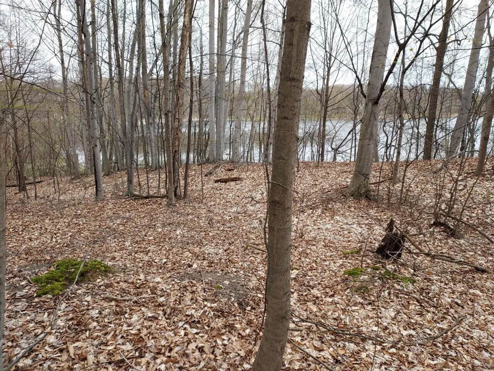 5424 W Oak Point Road Ludington, MI 49431