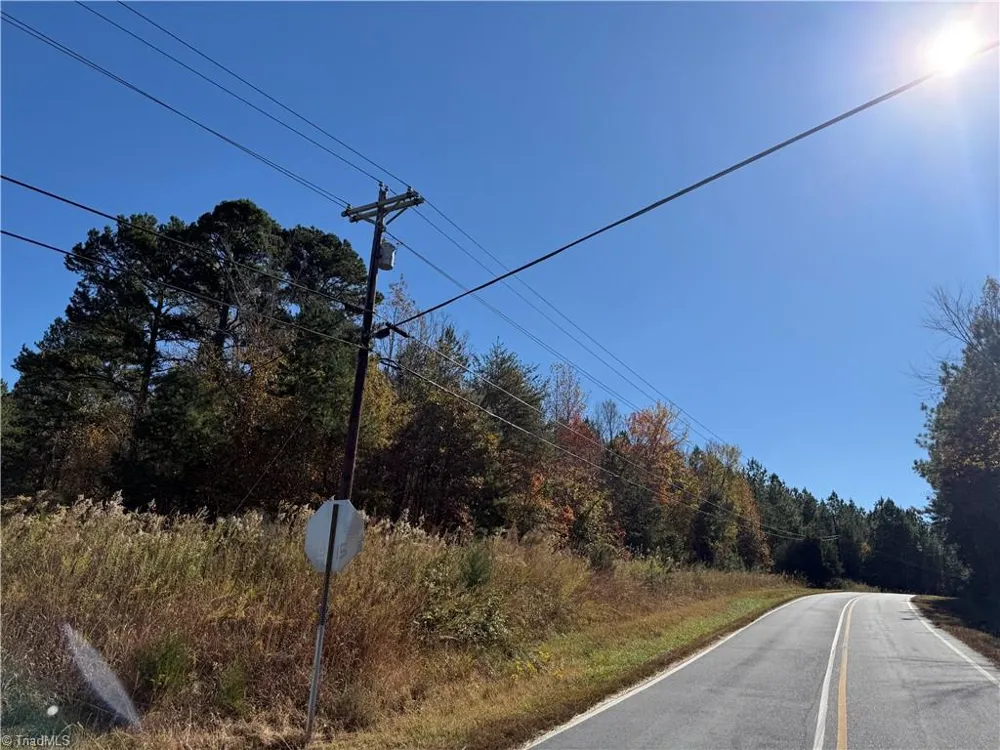 0 E US HIGHWAY 64 Trinity, NC 27370