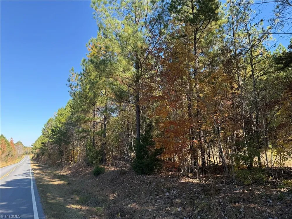 0 E US HIGHWAY 64 Trinity, NC 27370