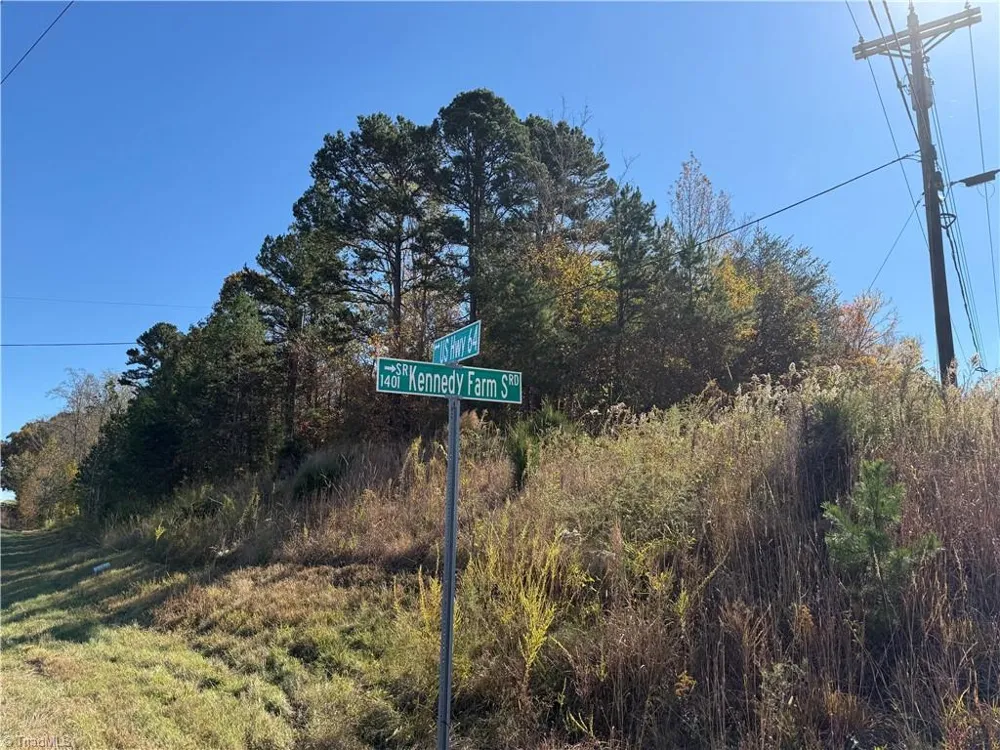 0 E US HIGHWAY 64 Trinity, NC 27370