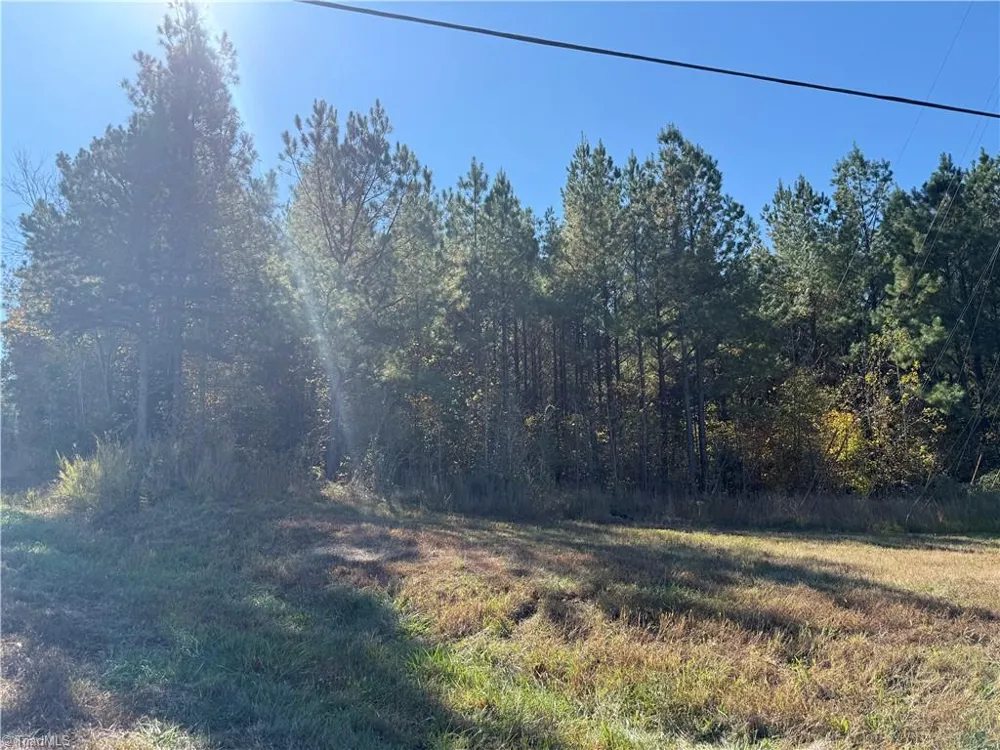0 E US HIGHWAY 64 Trinity, NC 27370