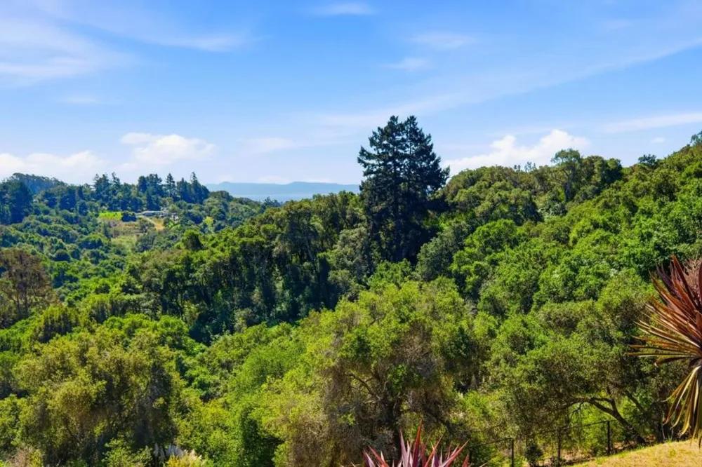 380 Mockingbird Ridge Road Watsonville, CA 95076