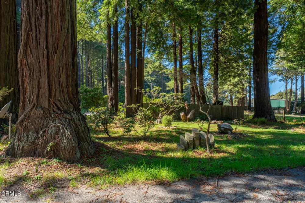 32200 California 20 Fort Bragg, CA 95437