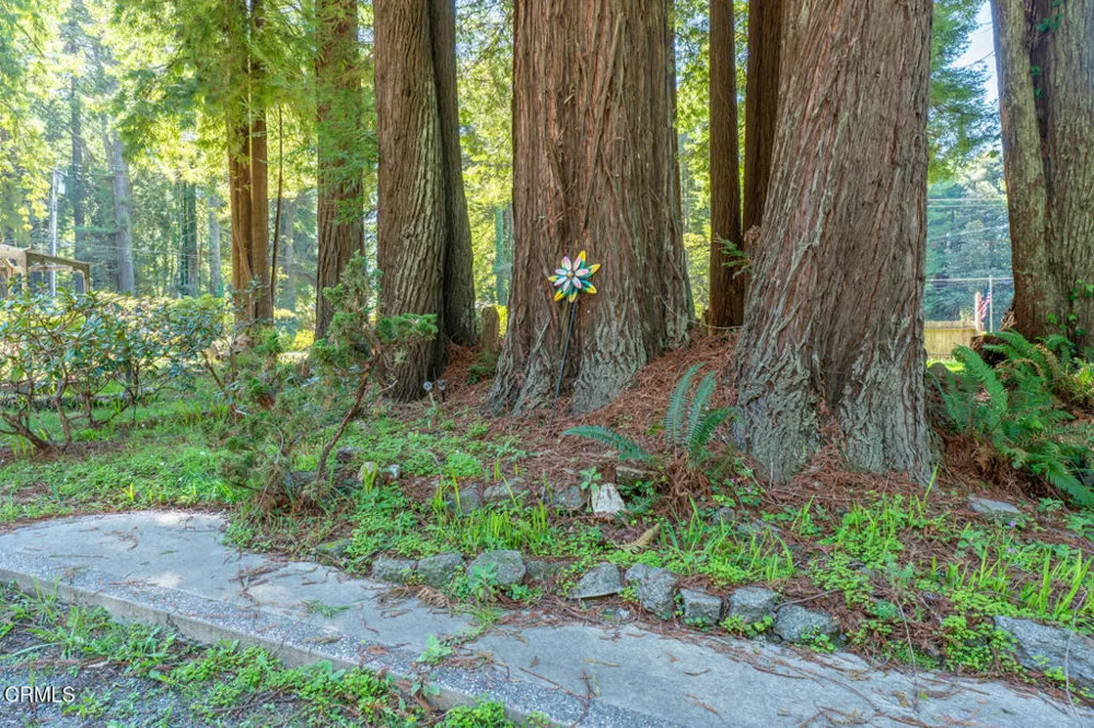 32200 California 20 Fort Bragg, CA 95437