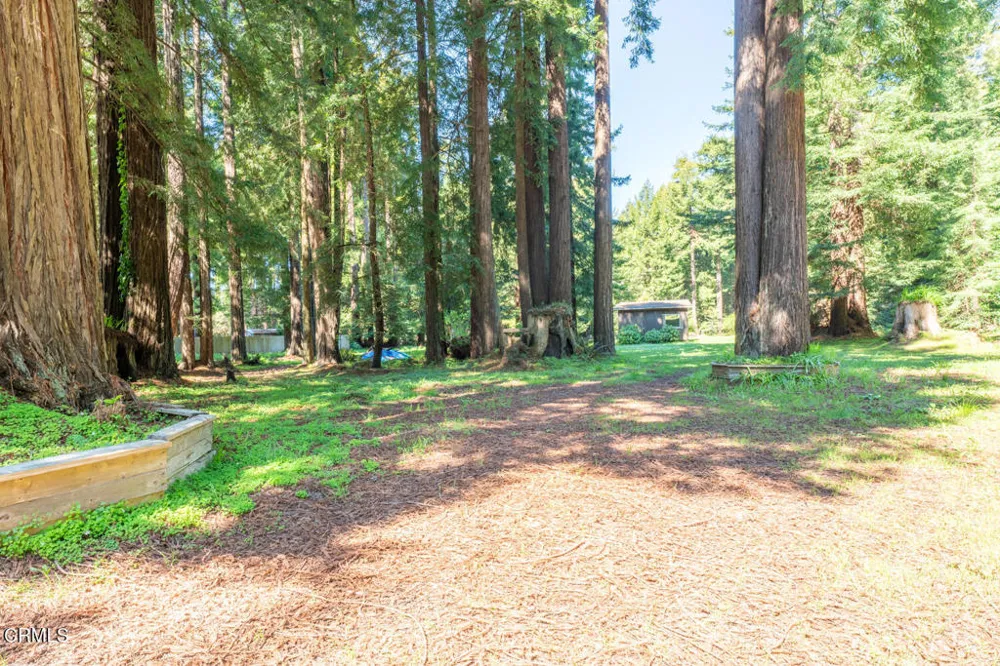 32200 California 20 Fort Bragg, CA 95437