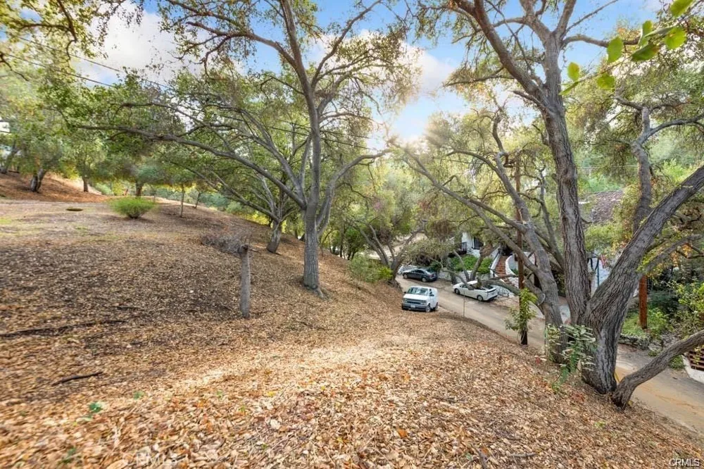 Elzevir Rd & Morro Dr Road Woodland Hills, CA 91364